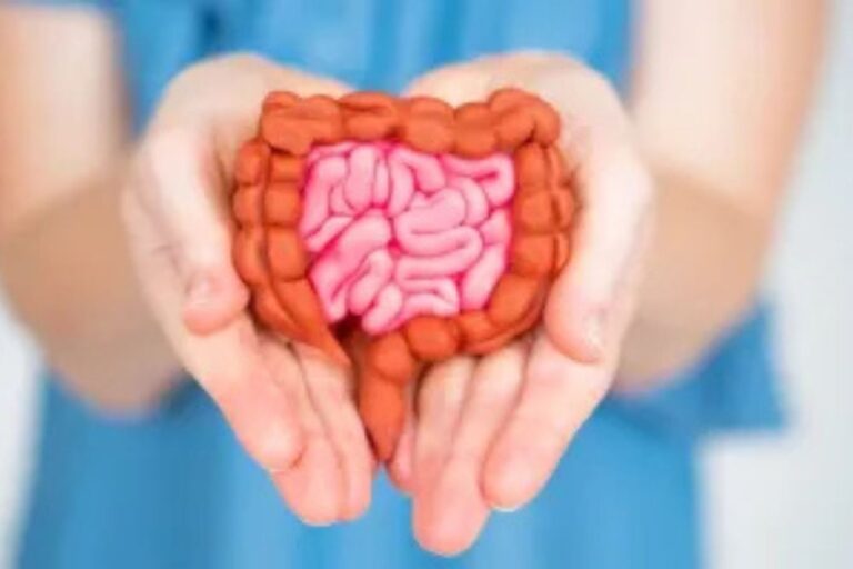 How Gut Health Impacts Mental Clarity and Mood